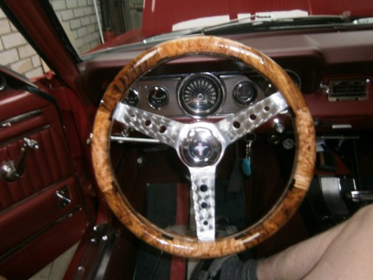 inauto2.JPG