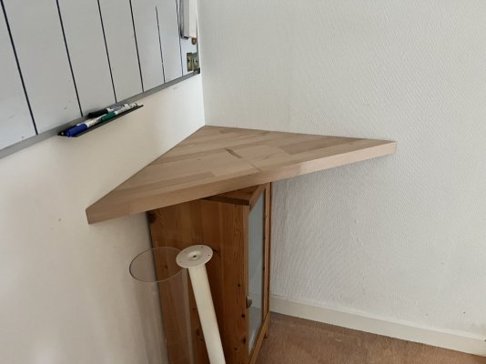 1  Test met blad.jpg