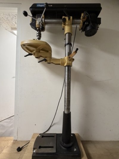 IMG_0723 2 Medium.jpeg