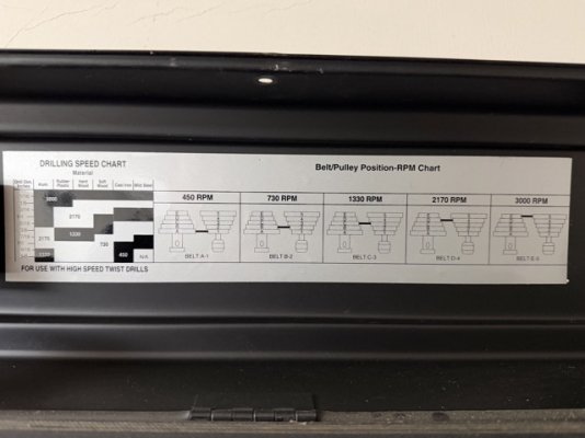 IMG_0732 2 Medium.jpeg