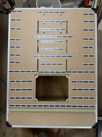 IMG_0835 Medium.jpeg