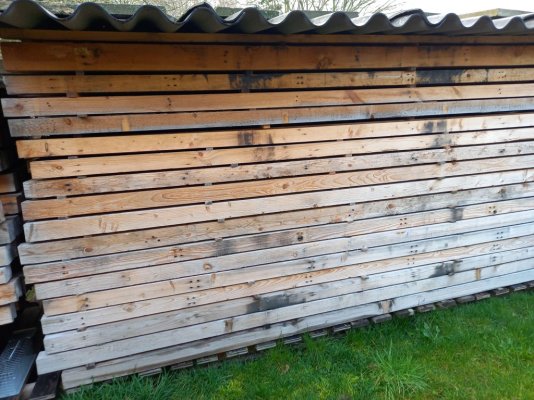 1000025975 palethout 2.jpg