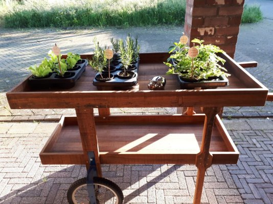 WhatsApp Image 2026-03-20 at 12.35.47.jpeg