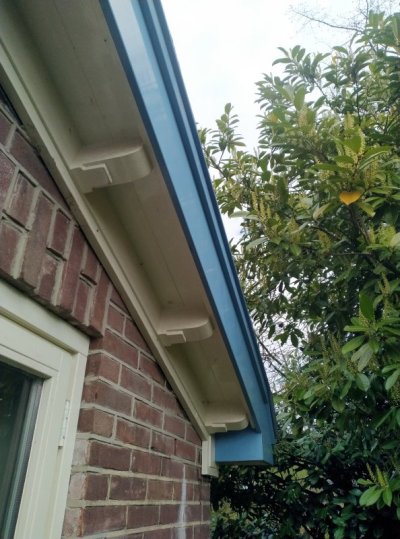 IMG_20260404_115529.jpg