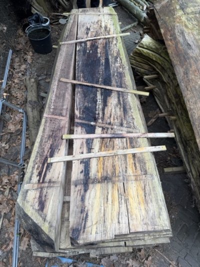 IMG_1868 Medium.jpeg