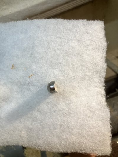 IMG_9137.jpeg