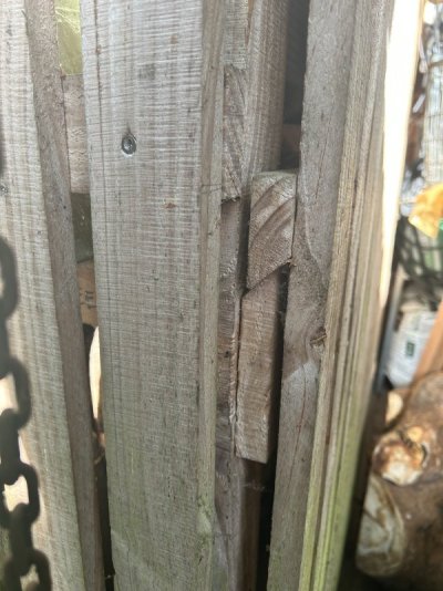 IMG_3797.jpeg