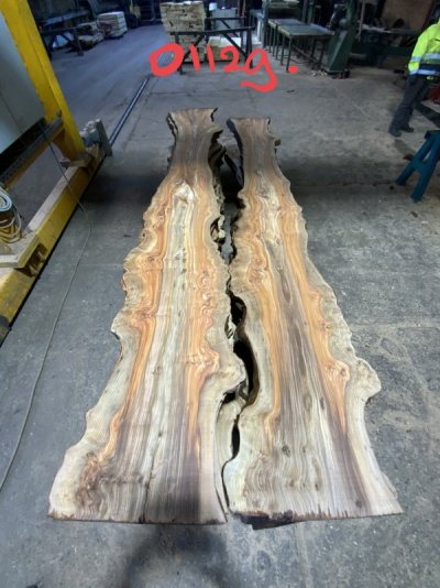 Iepen wortelnotenhout, Elm burl, Ulme maserknolle (2).JPEG