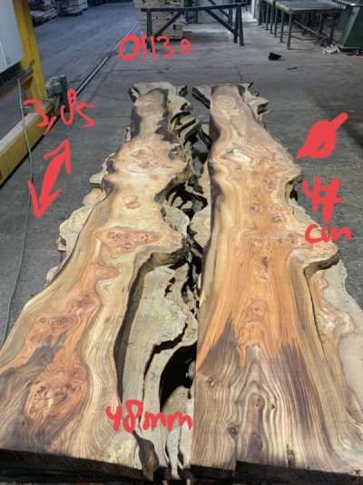 Iepen wortelnotenhout, Elm burl, Ulme maserknolle (3).JPEG