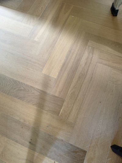IMG_3431 Medium.jpeg
