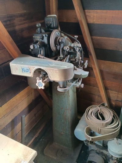 IMG_20260926_133632922_HDR.jpg